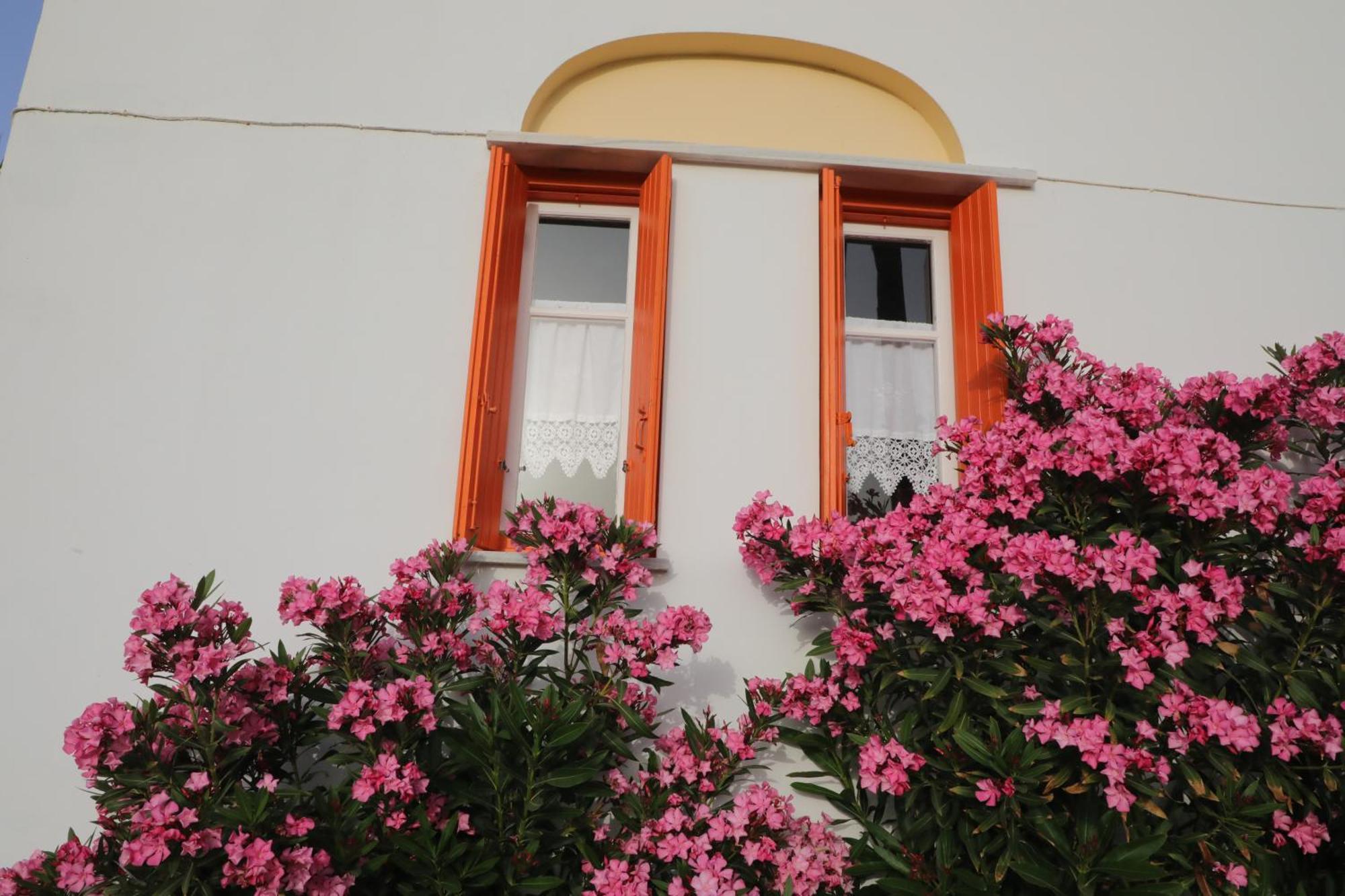 Panormos Apartments Kültér fotó